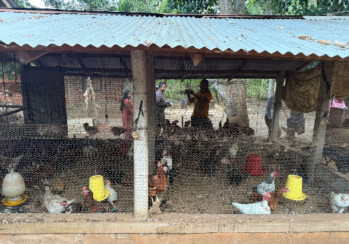 Photo 296: The SAPP NSC members visited poultry farmer, Ms. Nimala Upul Kumari, lives in Wahamalgollawa, Rambewa, Anuradhapura on 12 Sep 2025